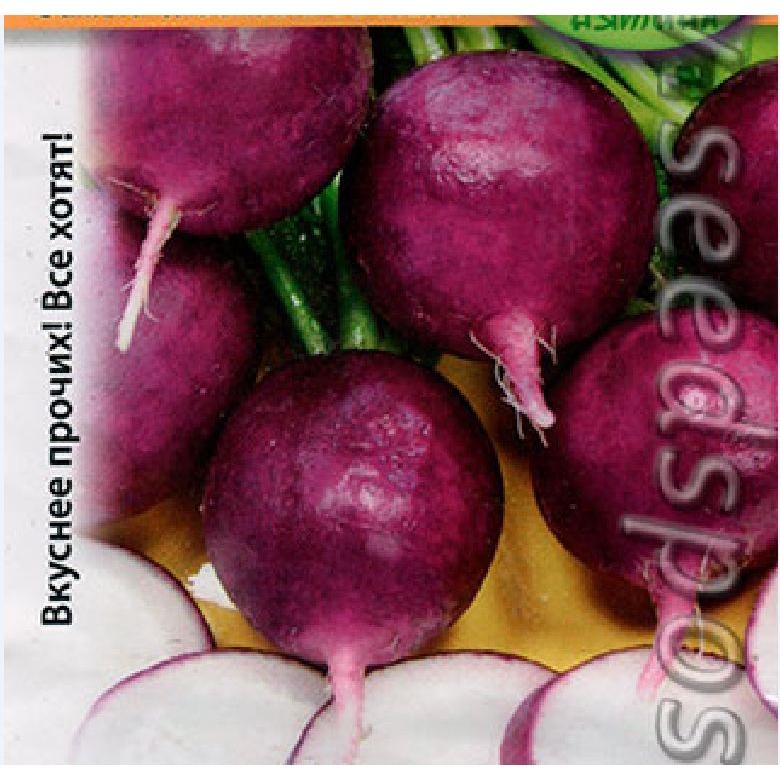 Hạt giống củ cải tròn tím-gói 2 gram/tặng kèm gói phân bón lót