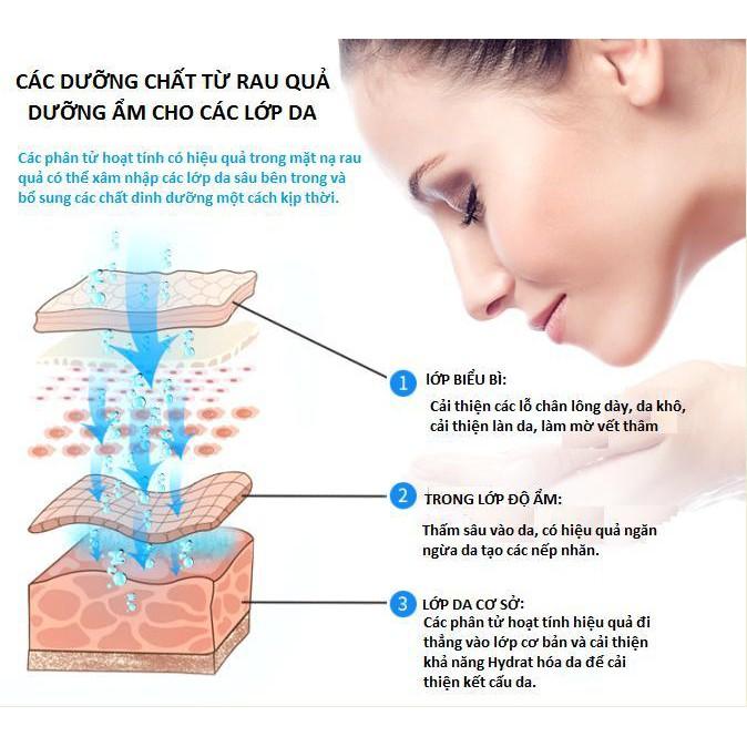 Máy Làm Mặt Nạ Dưỡng DaTrái Cây, Hoa Quả Kết Hợp Collagen Maoer Cao Cấp