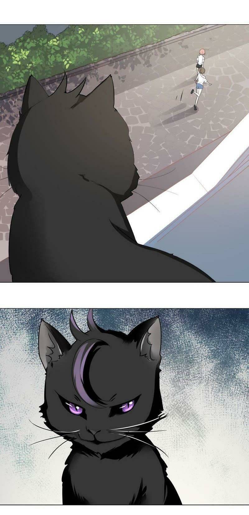 thập nhị hắc miêu chapter 2 31