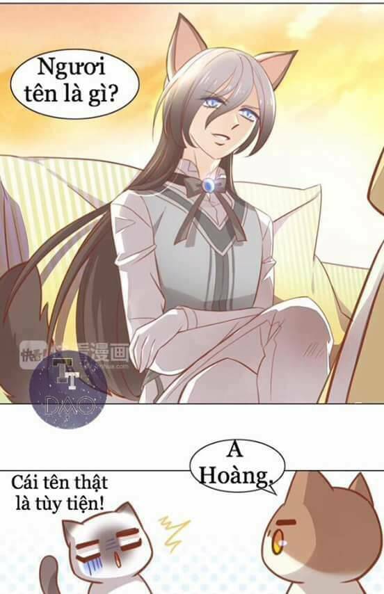 thị hoang chi thần chapter 8 24