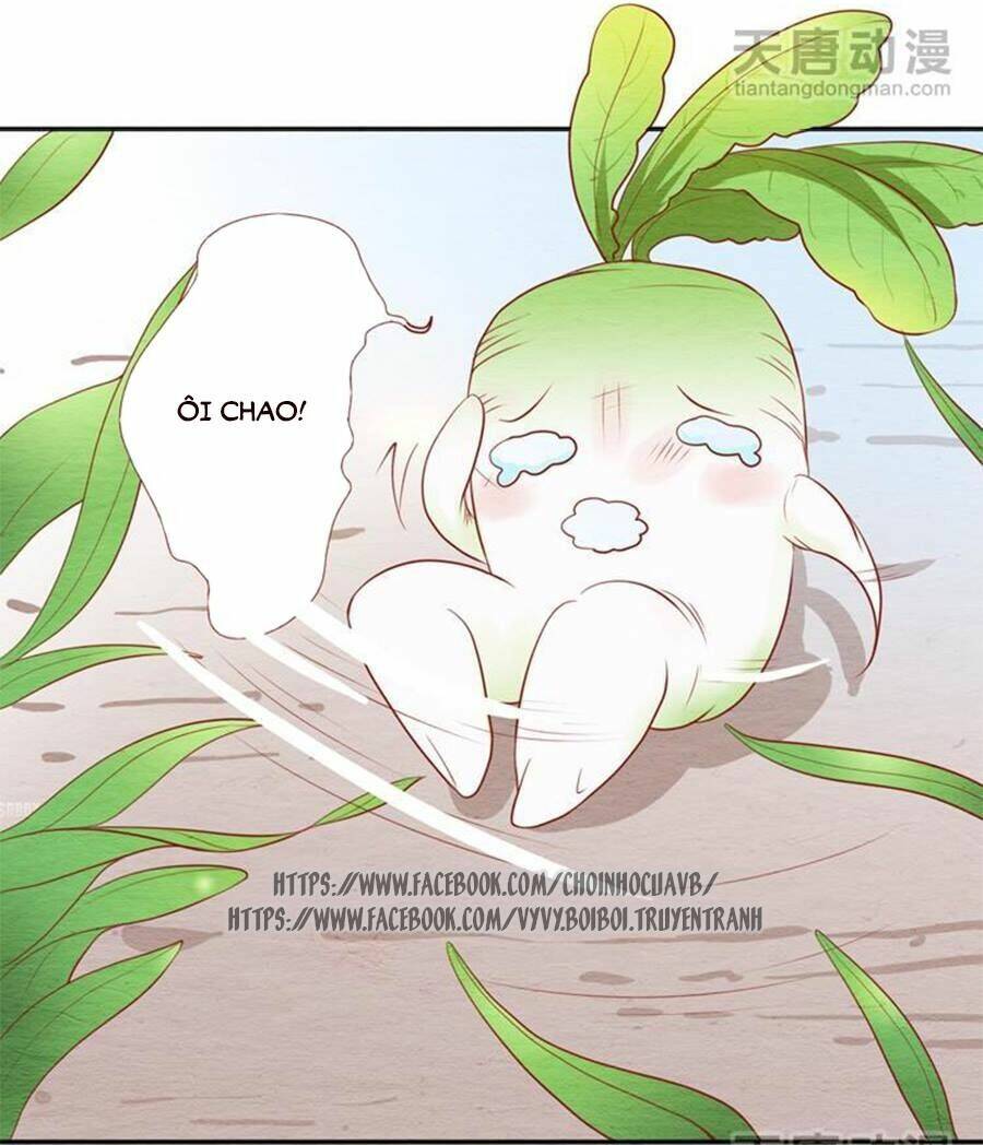 nhân hoa duyên chi sư phụ đại nhân cầu sủng ái chapter 5 8