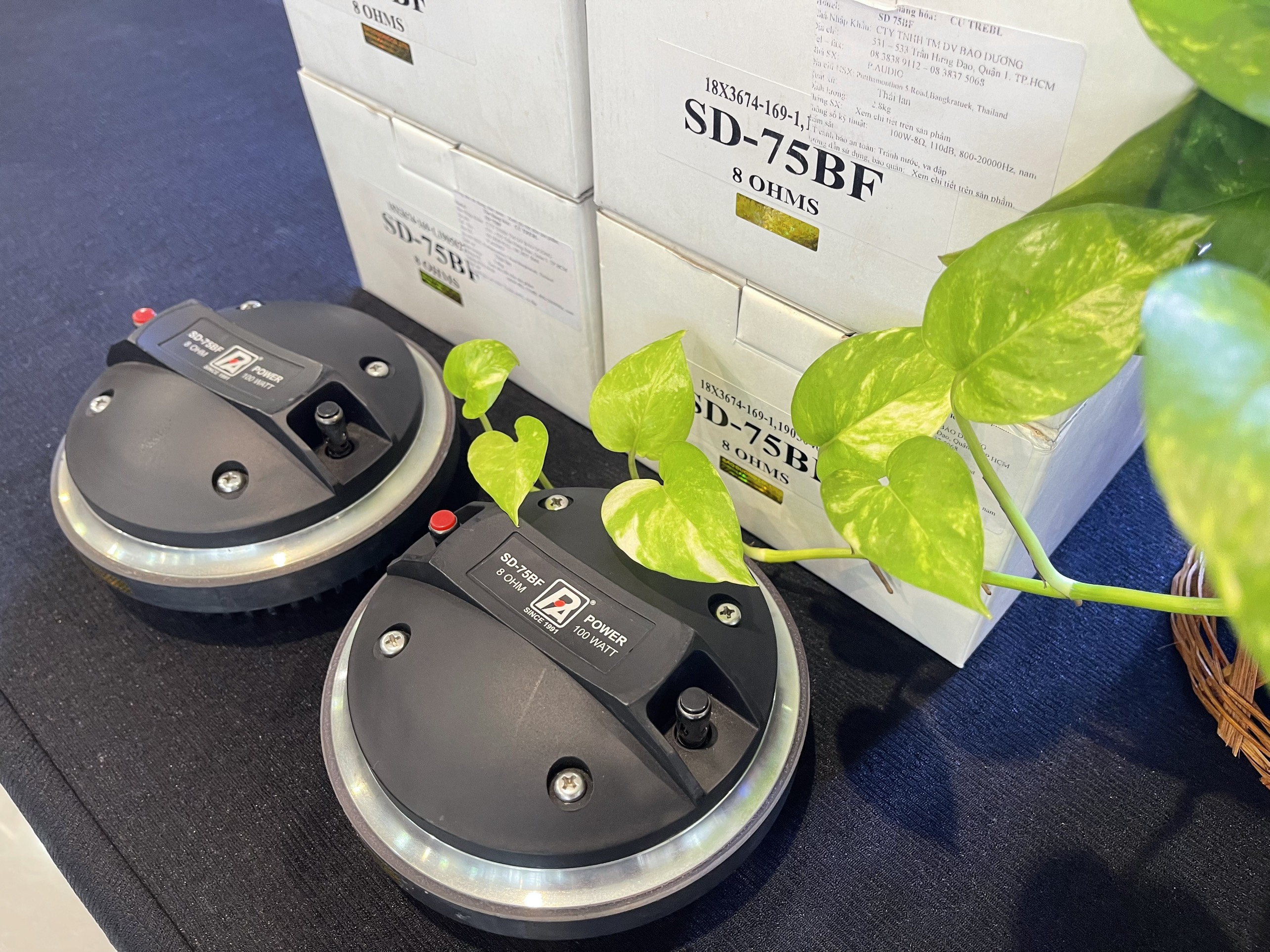 Củ treble 750 Paudio từ sắt SD75BF (1 cái)- Hàng chính hãng