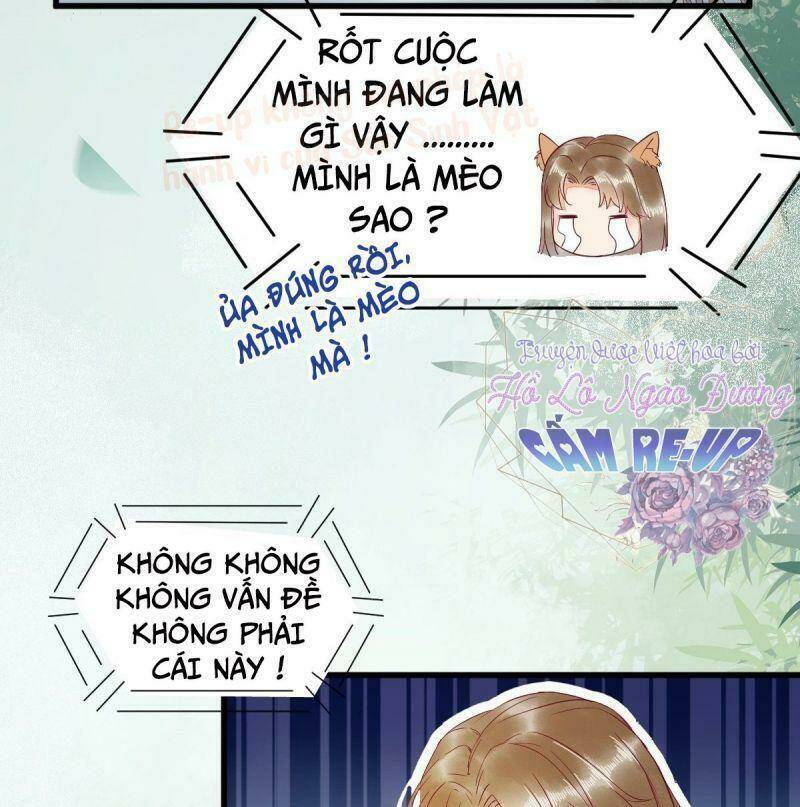 sát thủ vương phi không dễ chọc chapter 37 19