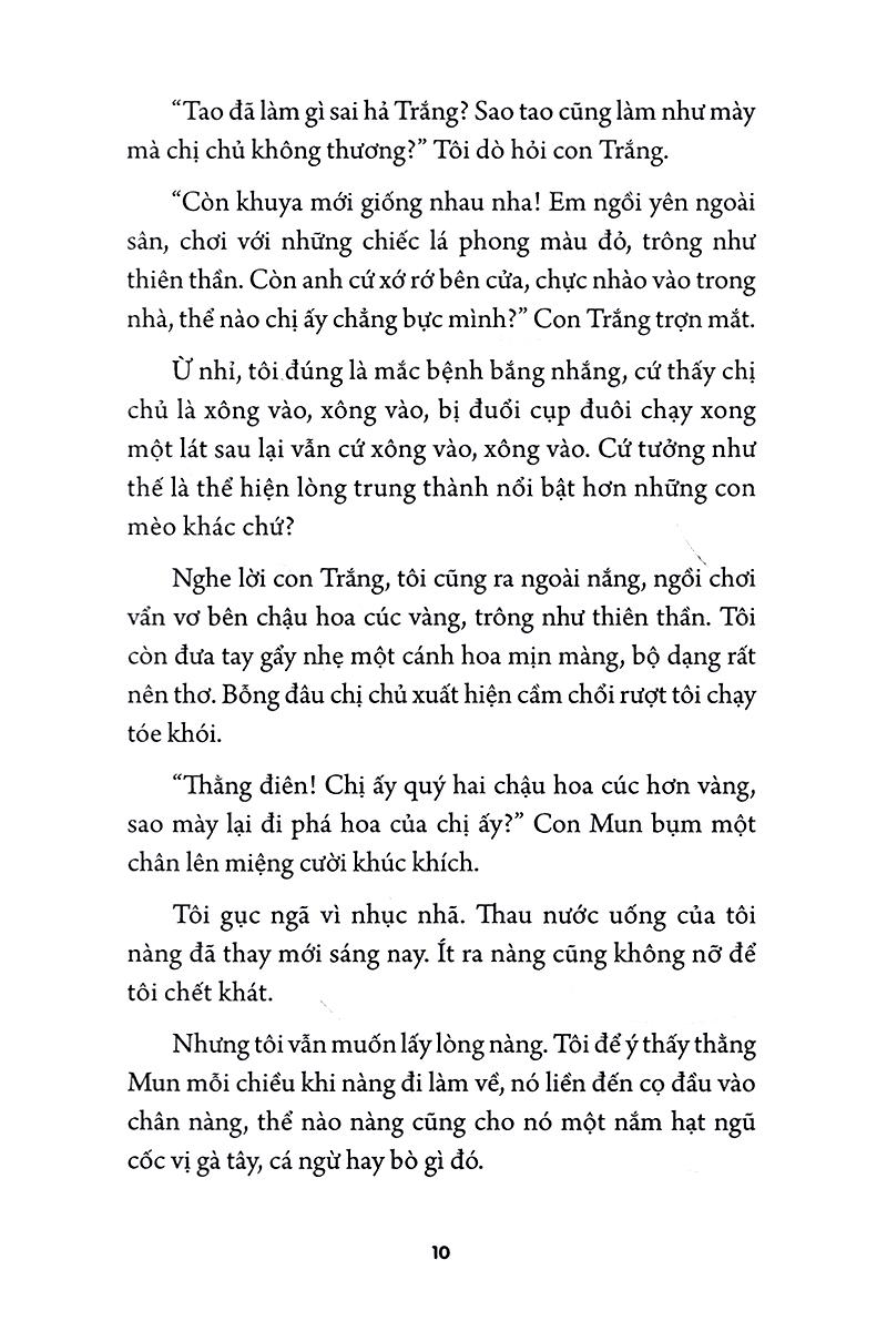 Đồng Khuya Thương Nắng