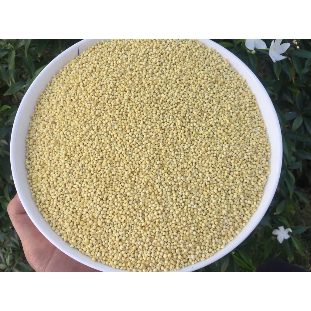 Kê trứng  cho chim yến hót, finch hoặc vẹt bị 500g