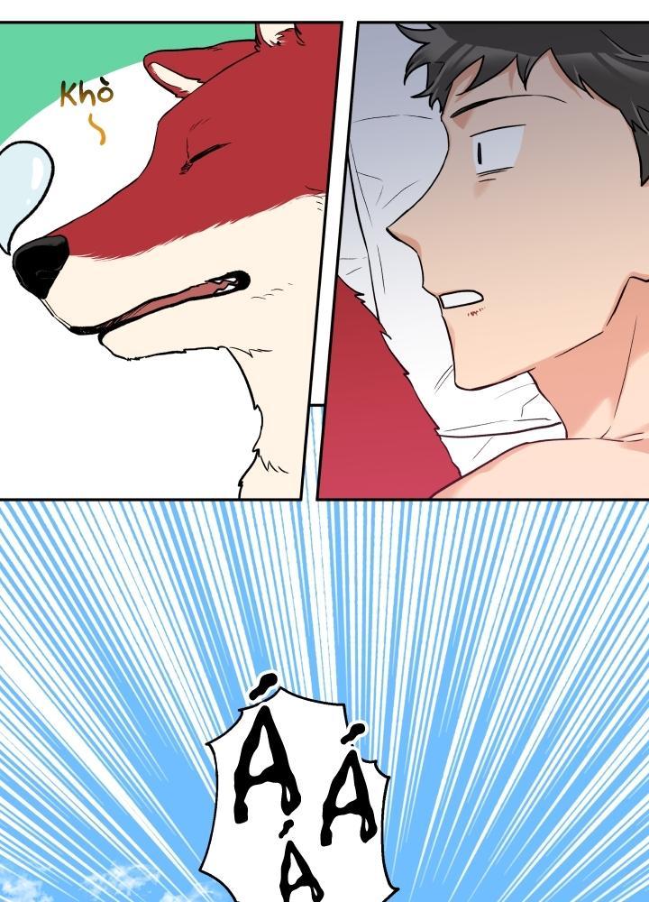 gâu gâu! chapter 12 6