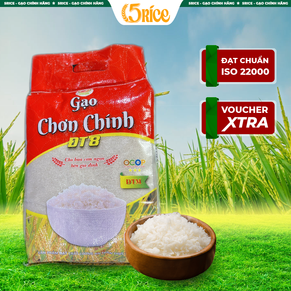 Gạo Đài thơm 8 Chơn Chính - Túi 10kg - Gạo thơm dẻo, đậm vị 5RICE