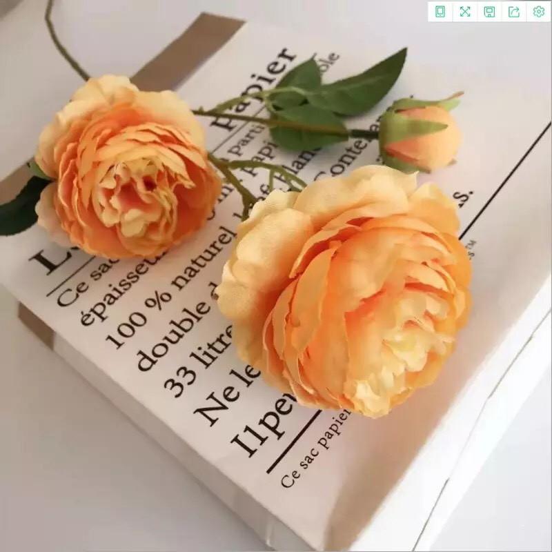 Cành hoa mẫu đơn Paeonia cao 61cm trang trí nhà cửa