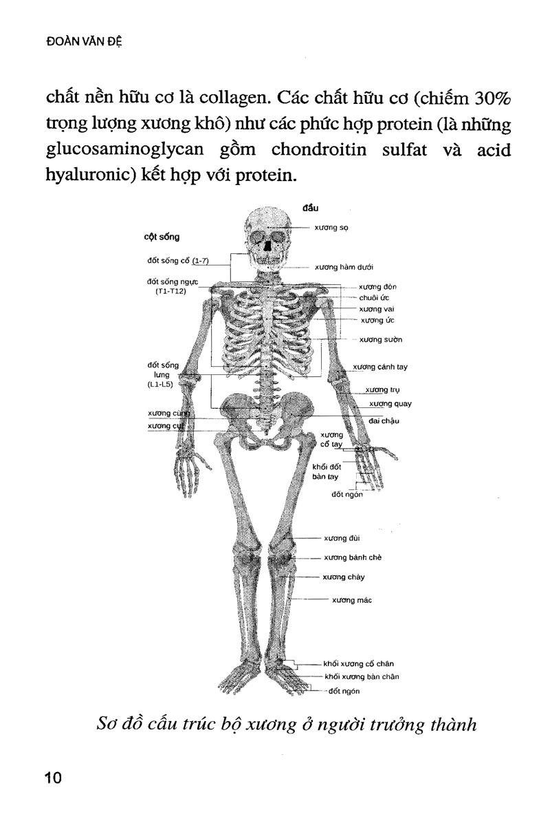 Sách Phòng Và Chữa Bệnh Loãng Xương