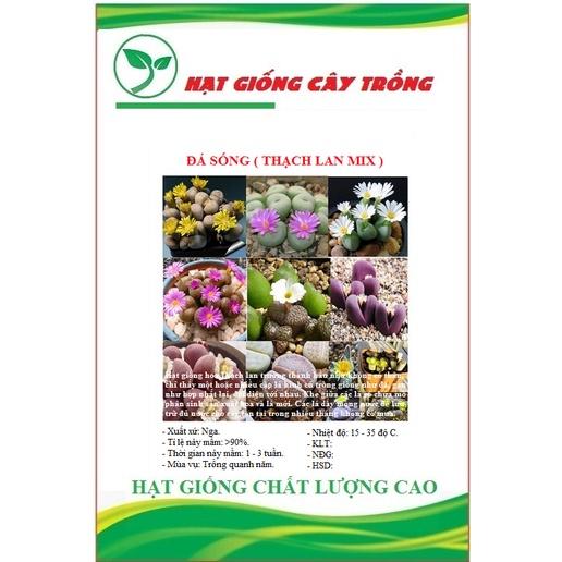 Hạt giống hoa đá sống thạch lan mix màu CT508 - Gói 10 hạt