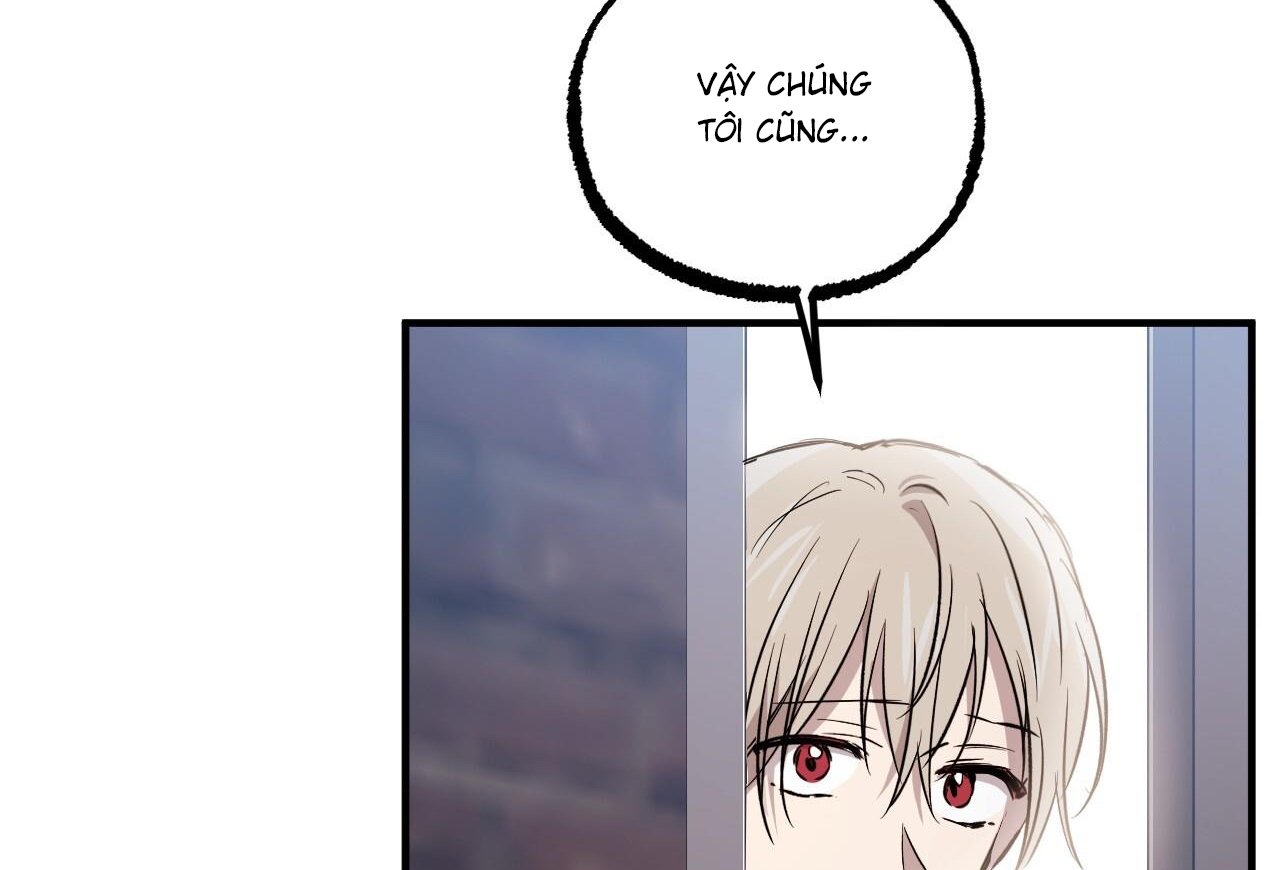 những chú thỏ của hapypy chapter 59 166