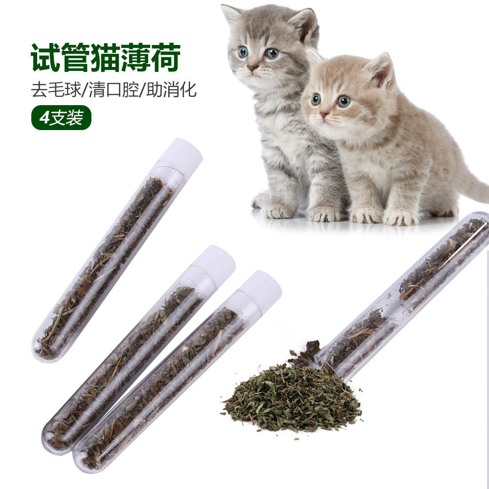 Ống catnip cho mèo 5ml