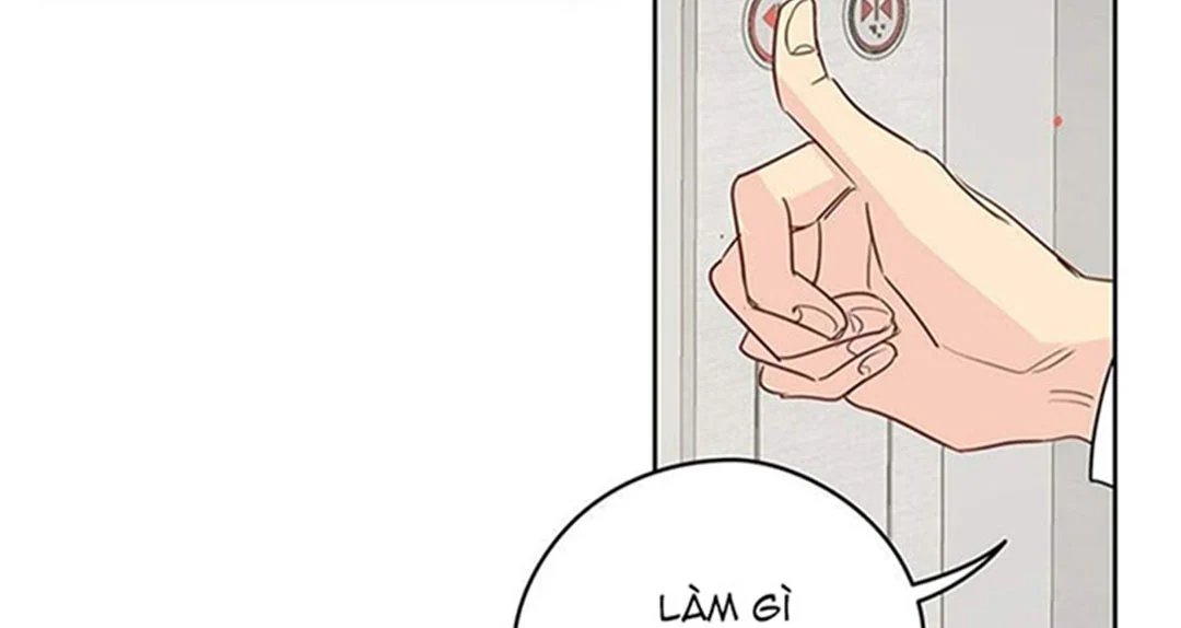 chuyện quái gì với giấc mơ đó vậy chapter 27 15