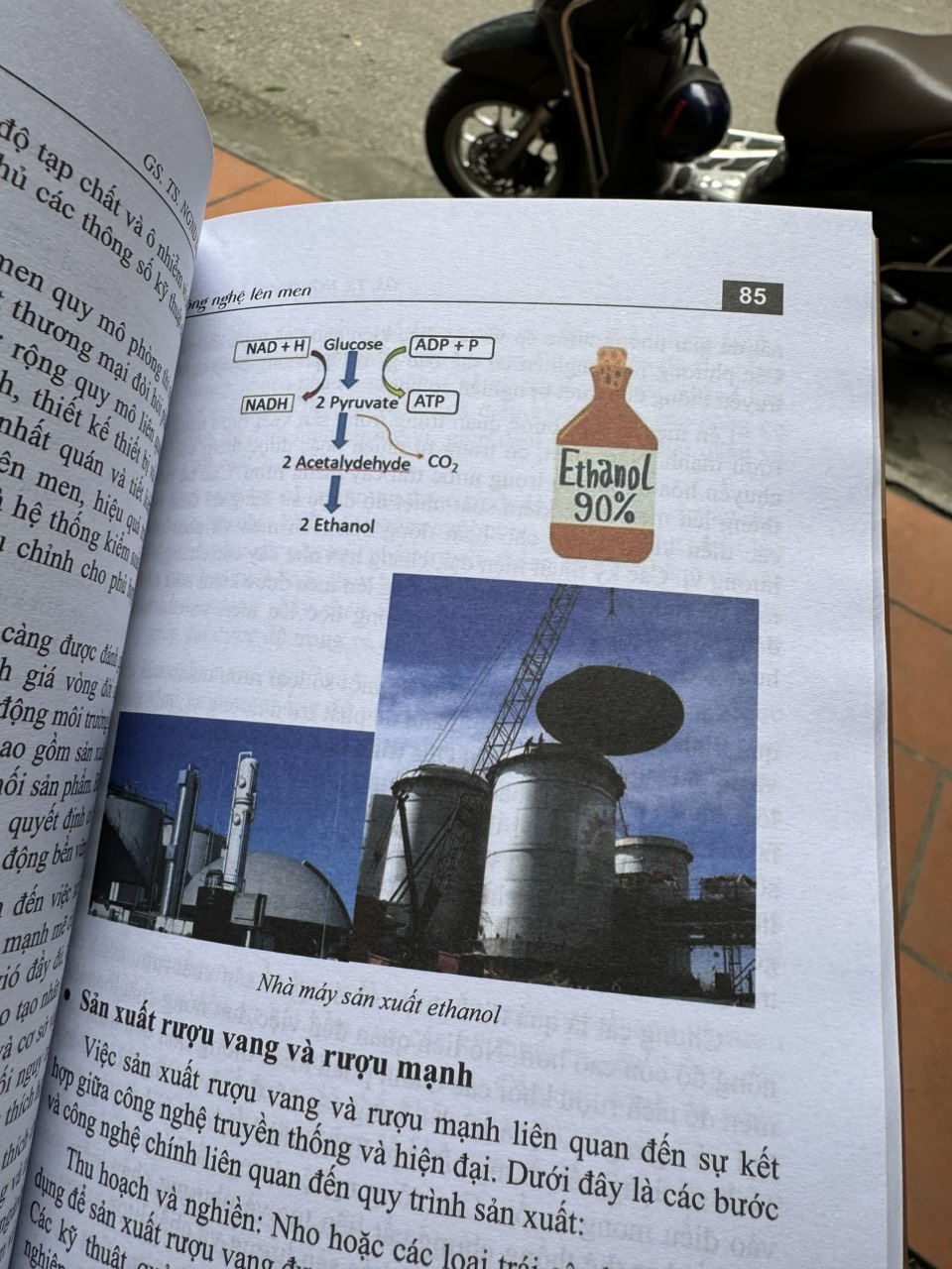 CÔNG NGHỆ LÊN MEN - Nguyễn Lân Dũng - Hanoi Books