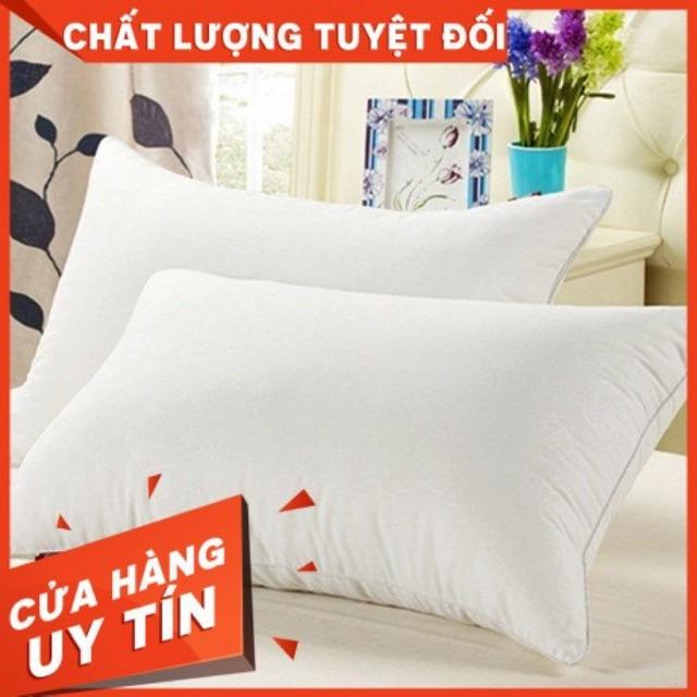 Ruột gối 2 chiếc gối bông hạt cao cấp 100% bông trắng ( được xem hàng)