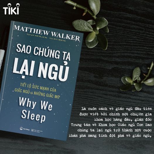 Sao Chúng Ta Lại Ngủ - Tiết lộ sức mạnh của giấc ngủ và những giấc mơ (Matthew Walker)