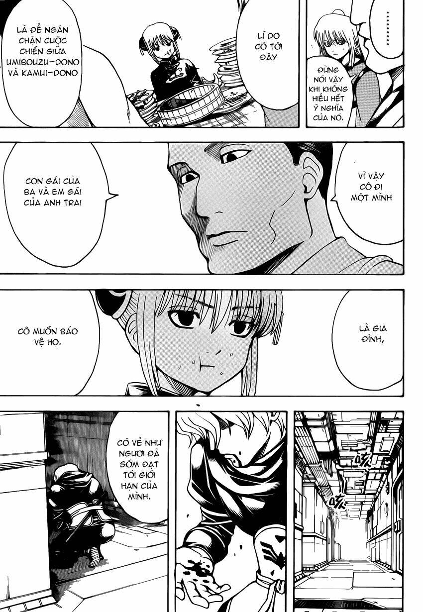 gintama - linh hồn bạc chapter 556 7