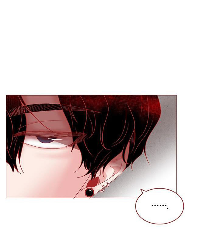 liệu rắn có ăn hoa chapter 4 61