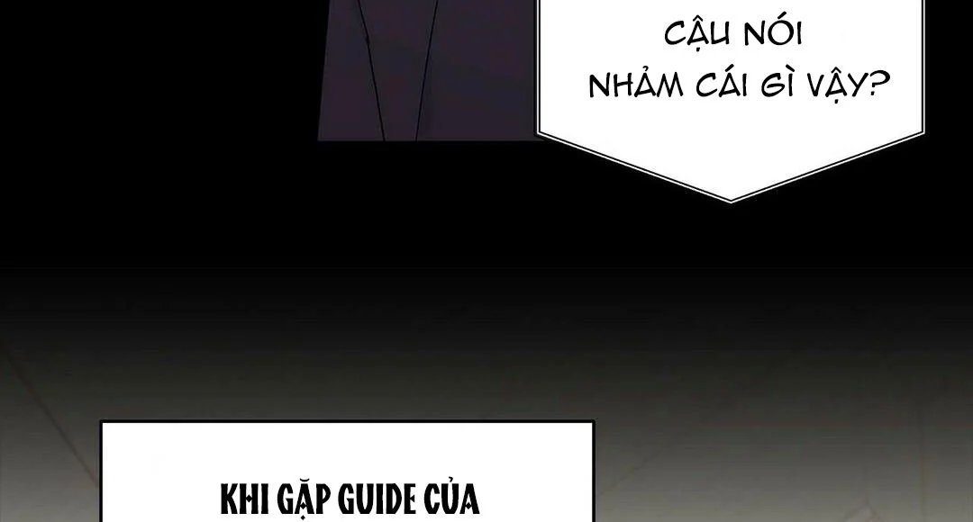 guide cấp b chapter 20 11