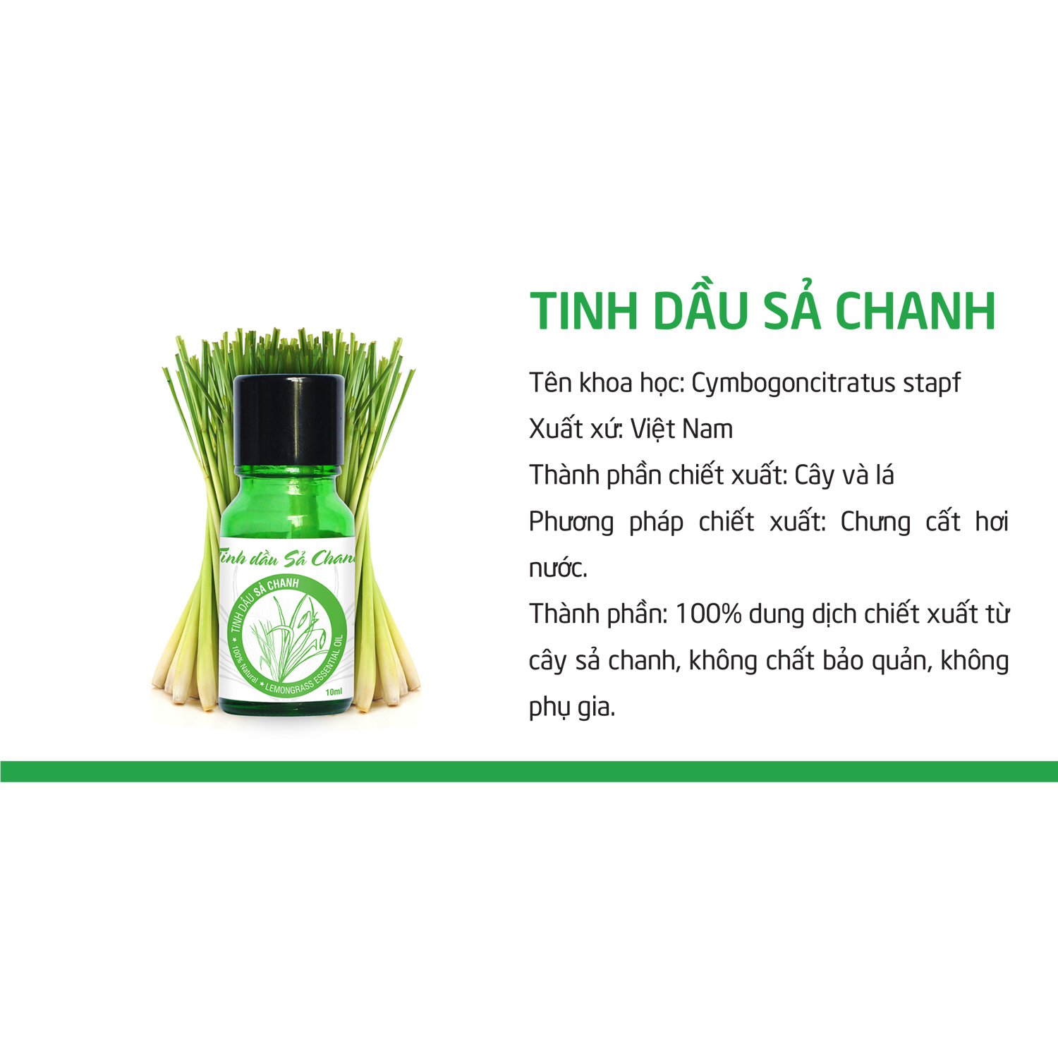 Combo Tinh Dầu Sả Chanh Đất Việt 10ml + Tinh Dầu Tràm Đất Việt 10ml (Giải pháp phòng chống muỗi trong mùa mưa)