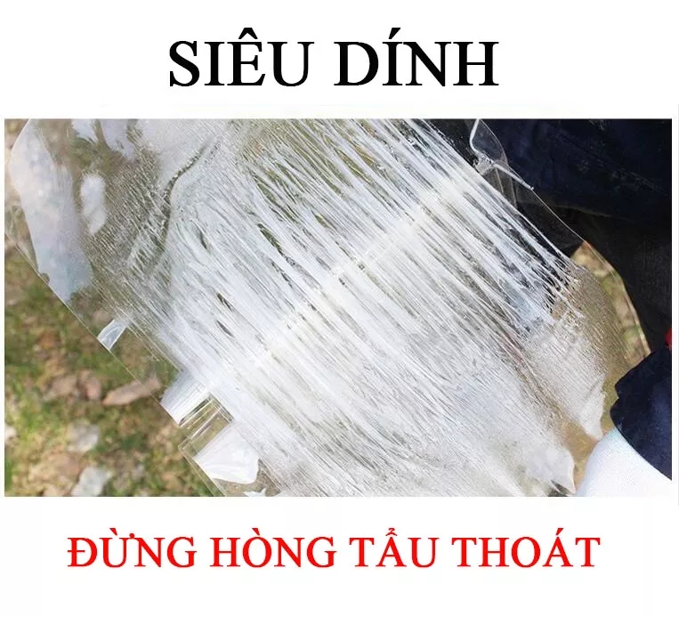Keo dán chuột keo dính chuột keo bẫy chuột
