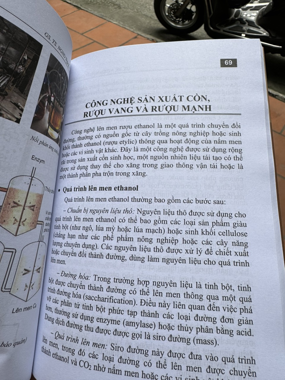 CÔNG NGHỆ LÊN MEN - Nguyễn Lân Dũng - Hanoi Books