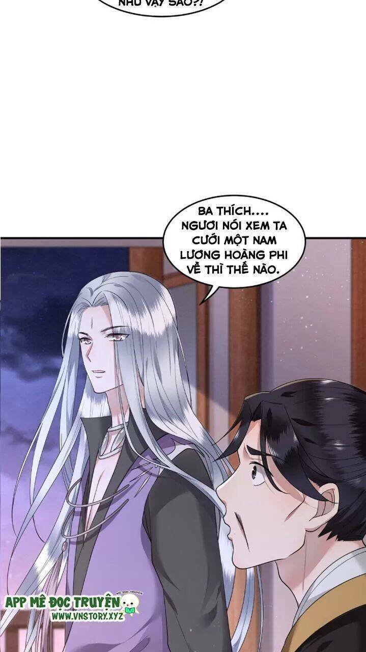 phượng hoàng vu phi chapter 67.5 5