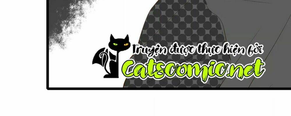 điều giáo quan hệ chapter 15 13