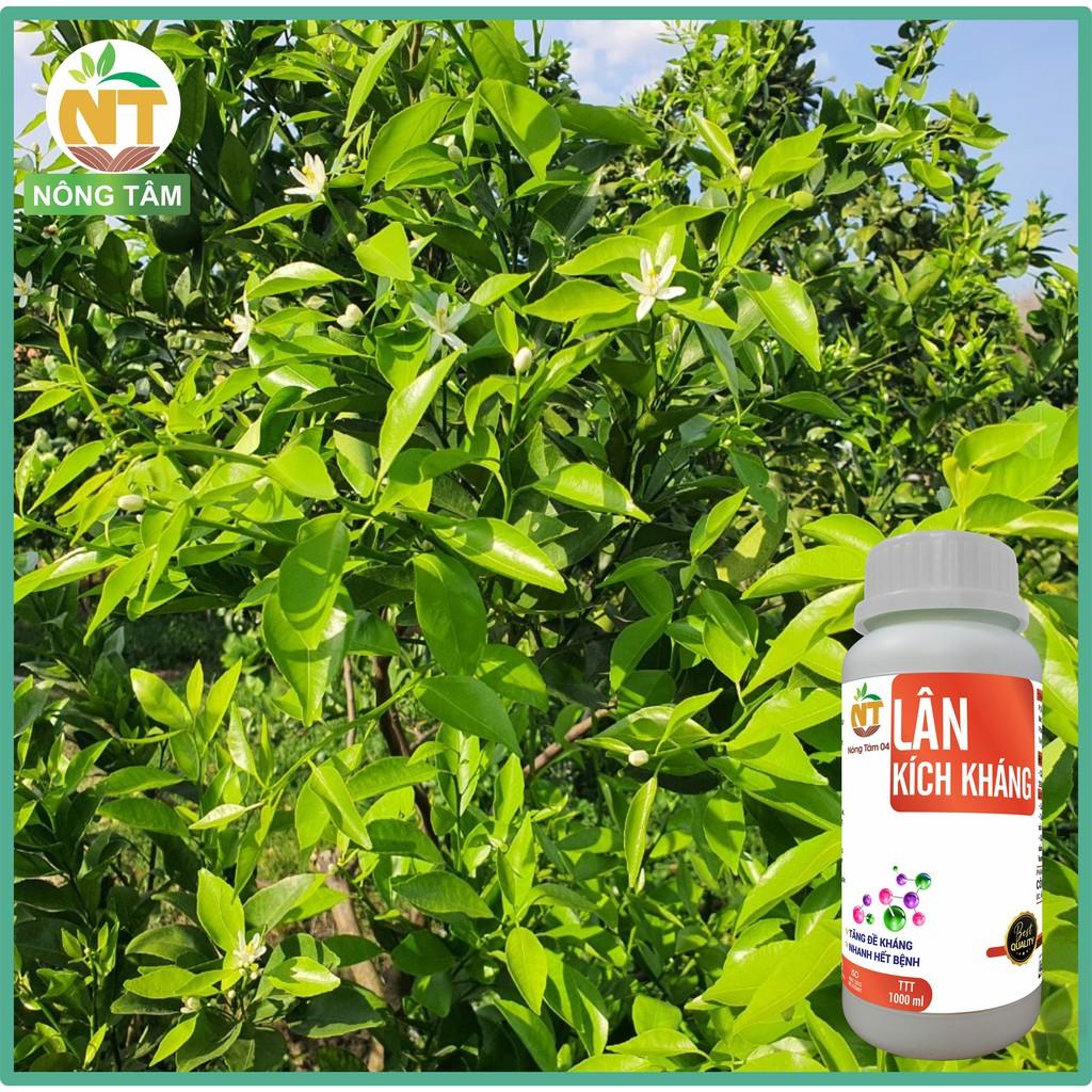 Phân bón vi lượng tăng sức đề kháng, hạn chế mầm bệnh, chuyên dùng cho cây ăn quả, chai 1000ml