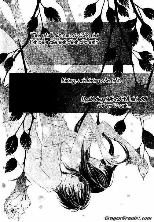 bông hoa của tội lỗi chapter 24 41