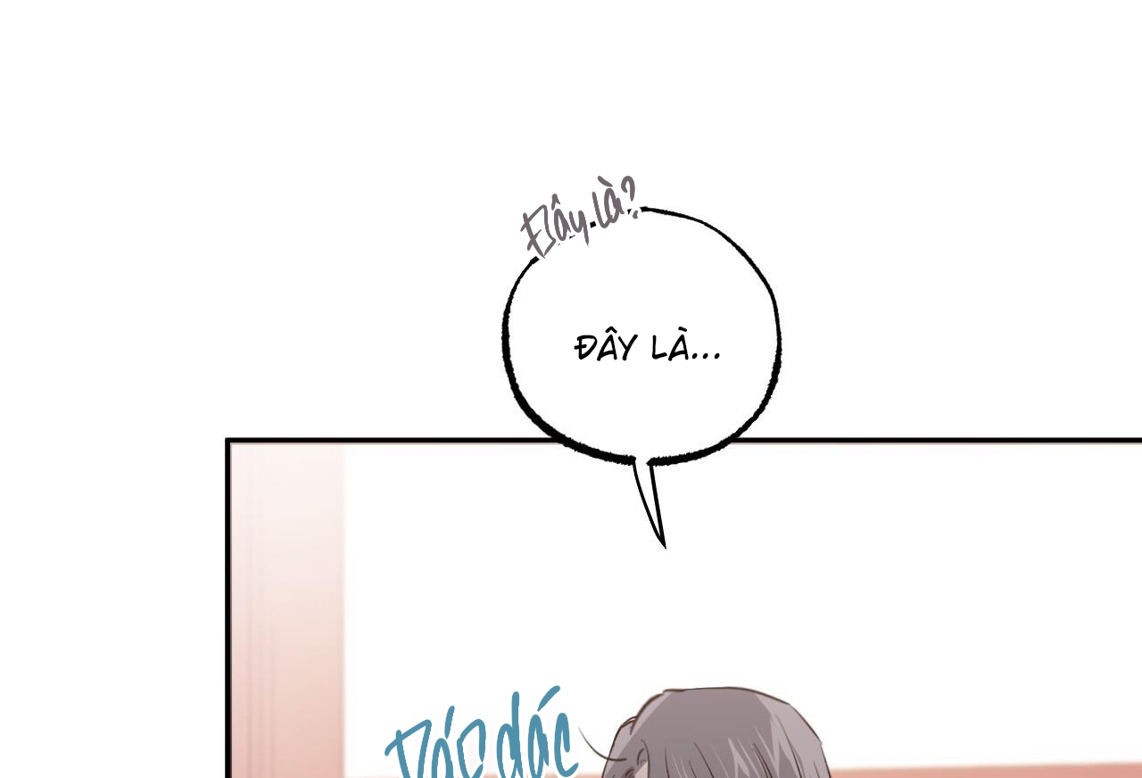 đàn thỏ của habibi chapter 65 80