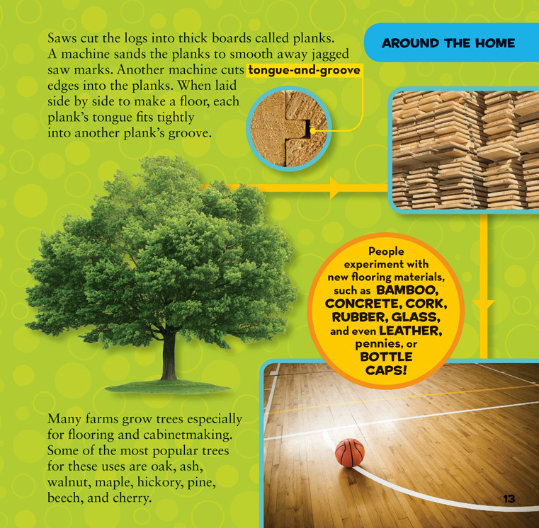 Sách ngoại văn: First Big Book of How (New Release)