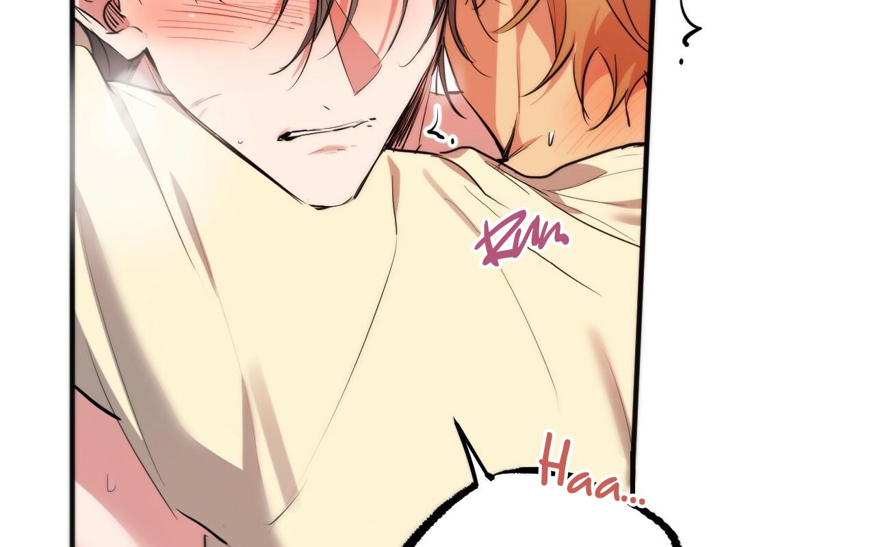 đàn thỏ của habibi chapter 38 199