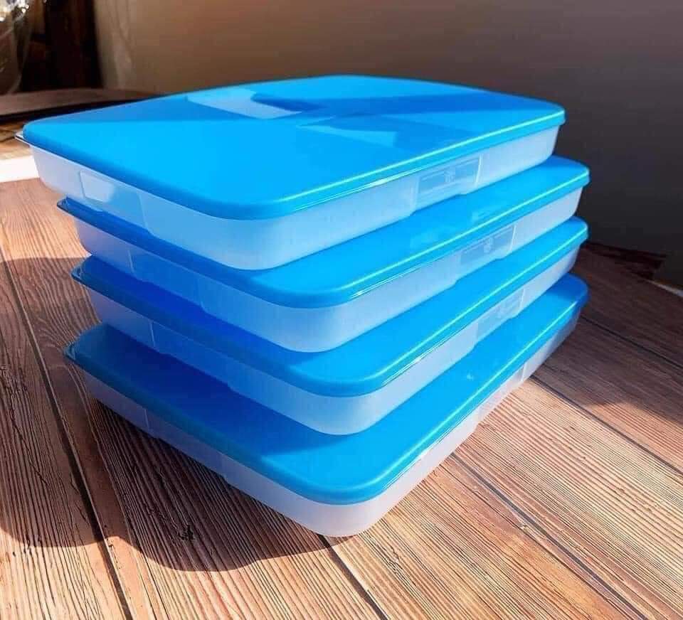 Set hộp trữ đông 650ml Thấp (dẹt) Tupperware, siêu tiện lợi