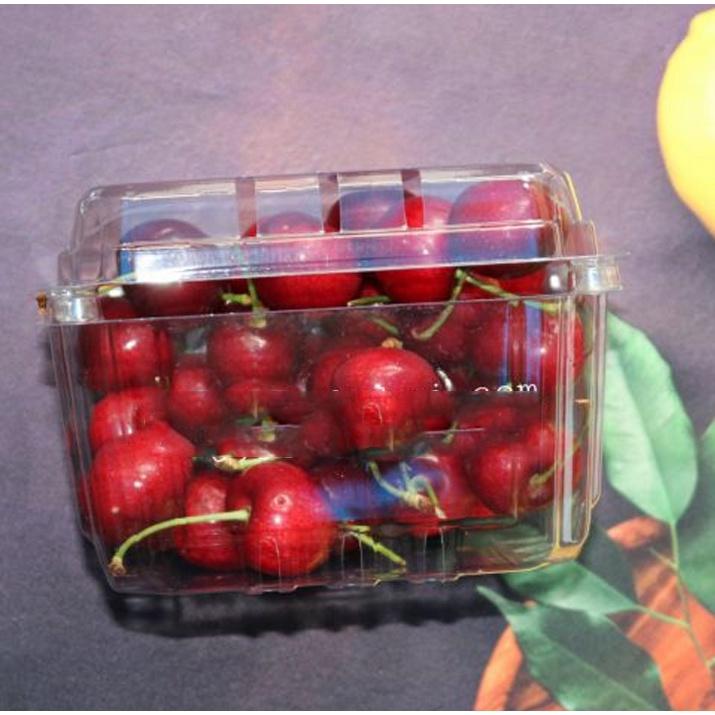 50 Hộp P500D Đựng Nữa Kg Trái Cây - Cà Chua Bi - Dâu Tây - Nho - Cherry