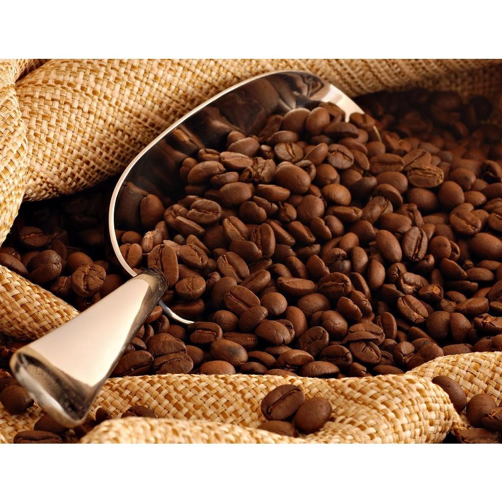 Túi Thơm Cà Phê E-Sky Coffee Khử Mùi Ô Tô, Tủ Lạnh, Tủ Quần Áo, Văn Phòng Túi Vải Voan 50Gr
