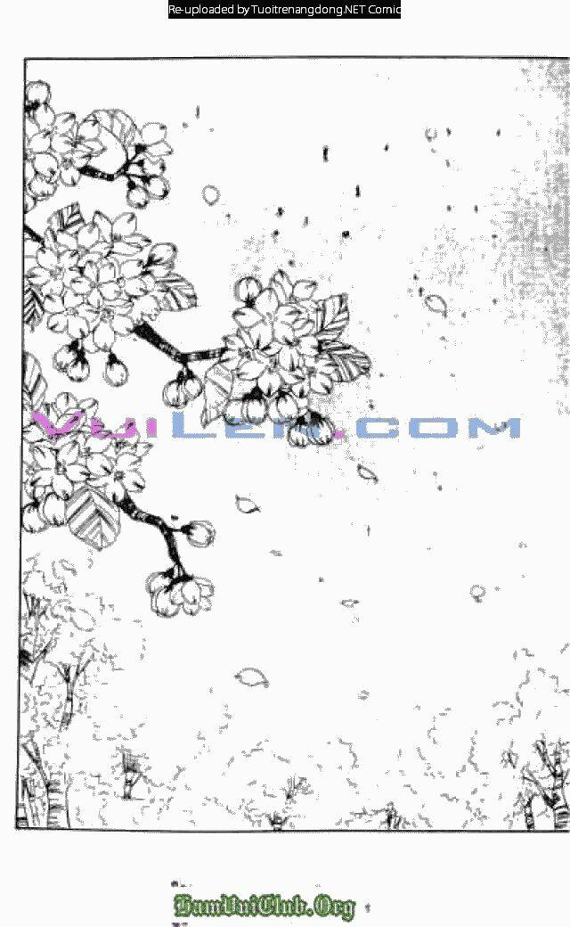 cánh thiên nga chapter 20 6