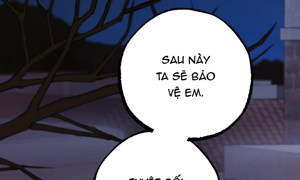 đàn thỏ của habibi chapter 37 266