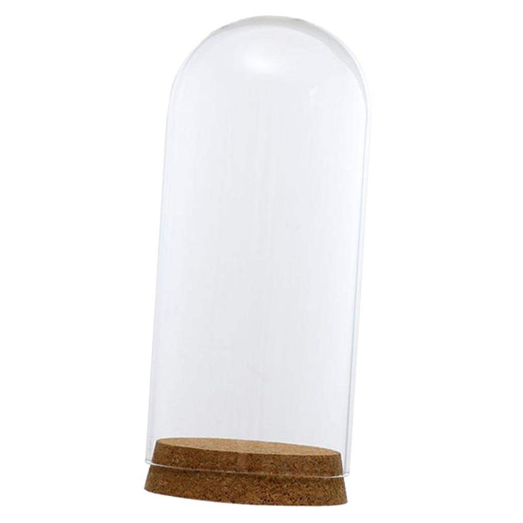 4xGlass Cover Landscape Terrarium Container Lid Vase Bottle 8x18cm