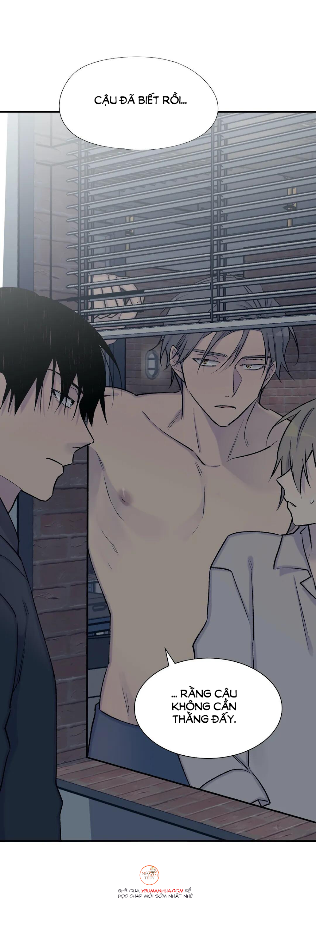 đừng viết nữa, tác giả thân mến! chapter 36 12