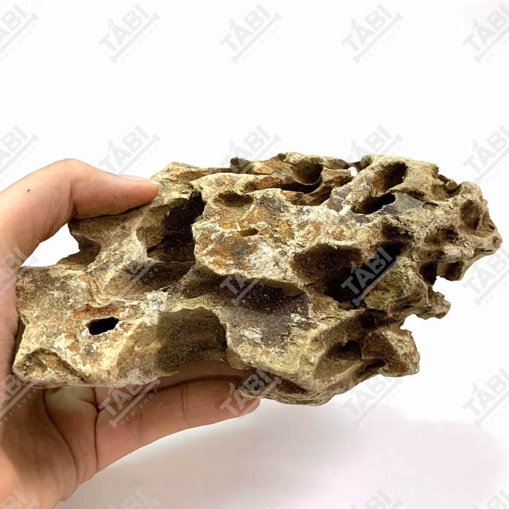 1KG Đá Tiger Setup Hồ Cá Thuỷ Sinh - Đá Tiger Vàng Trang Trí Bể Cá
