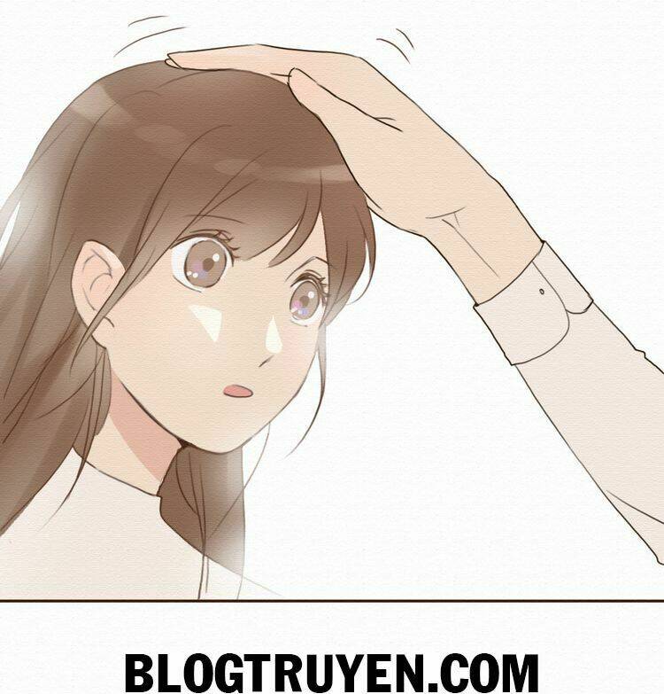 tình yêu không nói dối chapter 10 31