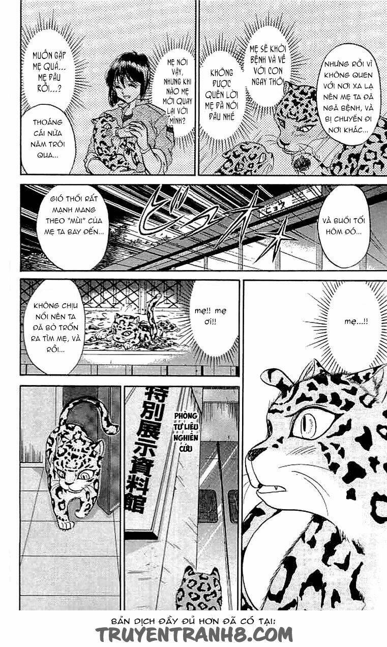 wild half chapter 16 13