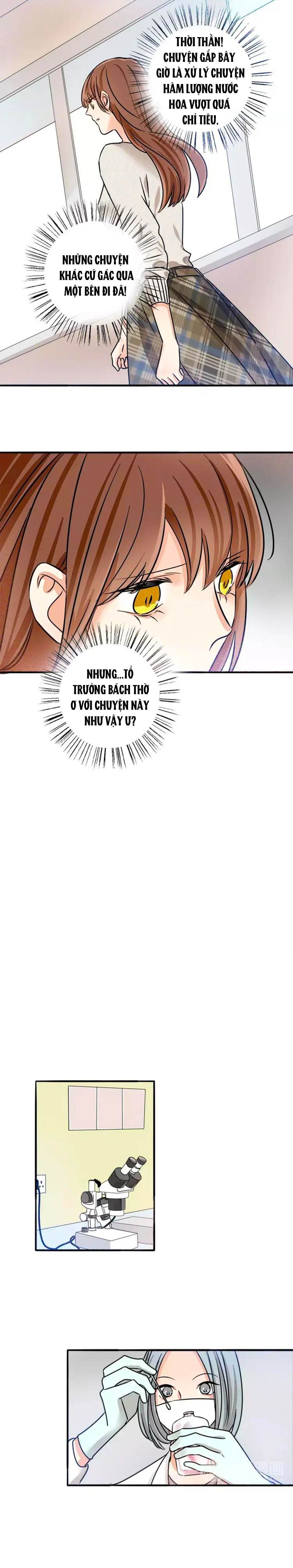 mùi hương lãng mạn chapter 50 3