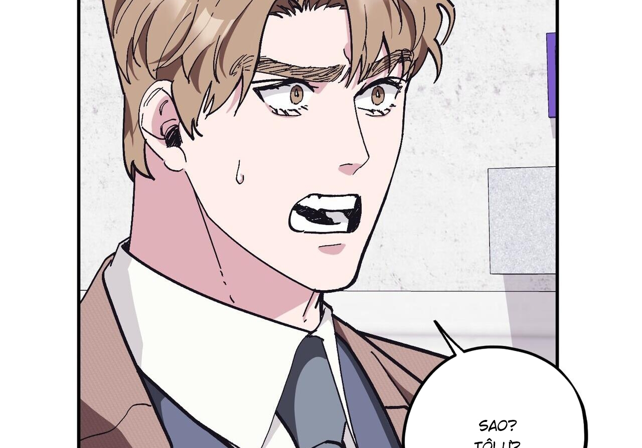 chàng dâu nhà họ kang chapter 32 11