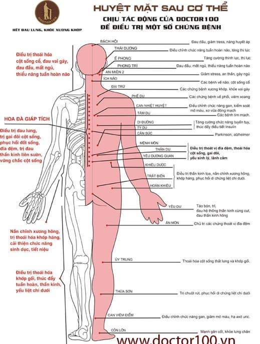 Con lăn cột sống Doctor100 tiêu chuẩn kèm túi da đựng . Con lăn massage toàn thân