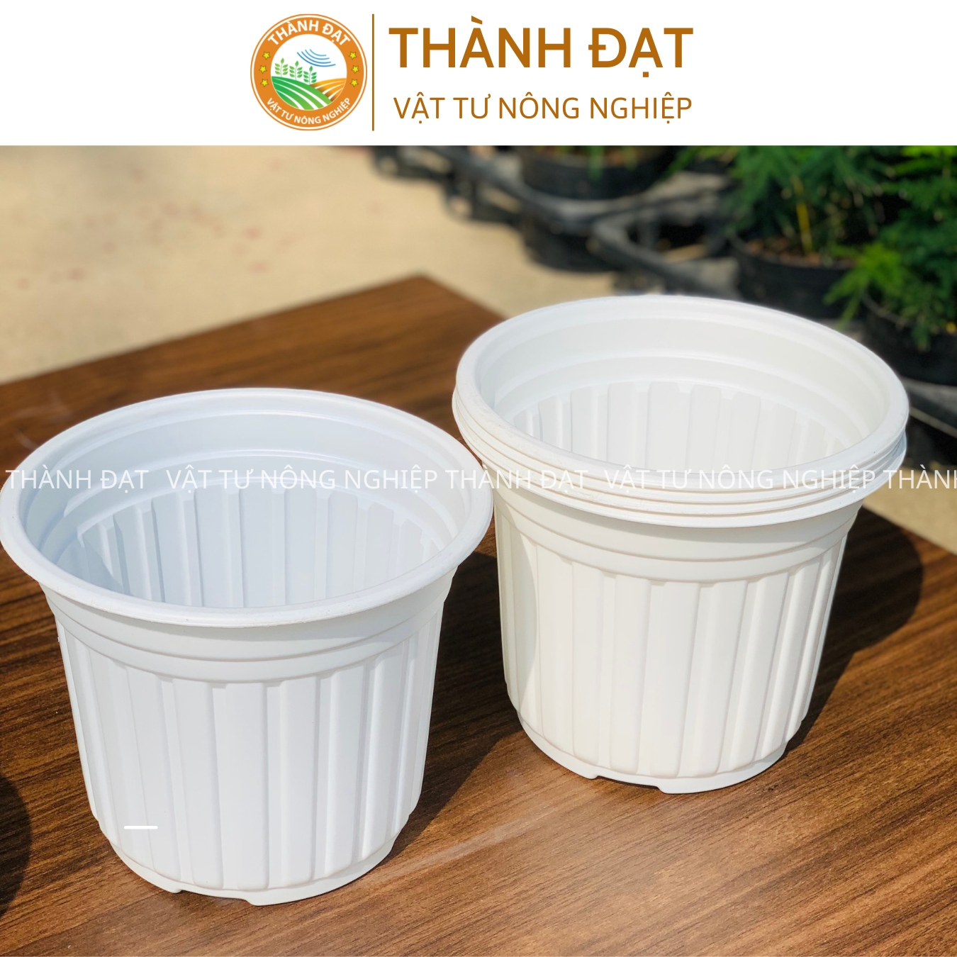 05 Chậu nhựa trắng TTK 18  trồng cây, trồng hoa cao cấp