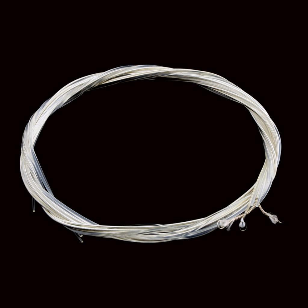 6x Guitar Strings E-A--B-E Set for Classical Guitar Replacement Accessory