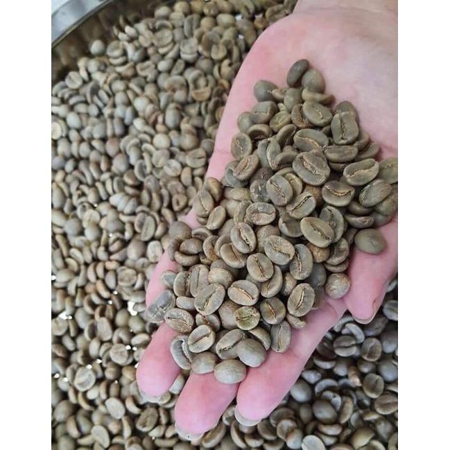 Cà Phê Nhân Xanh Arabica Sàng 16-18 chất lượng tuyệt vời (1kg)