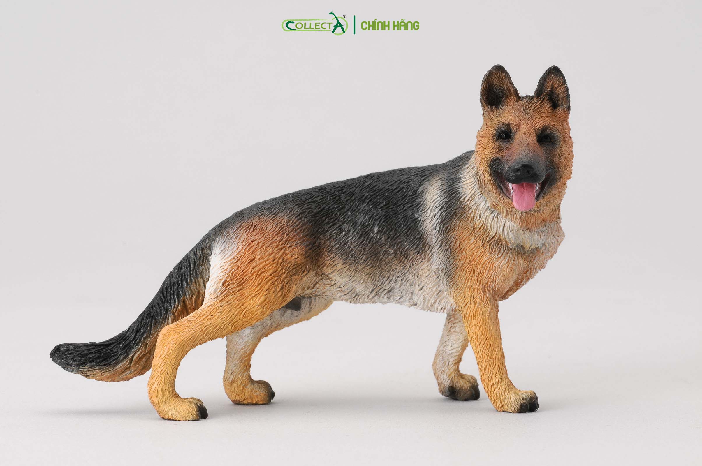 Mô hình thu nhỏ: Chó Shepherd - German Shepherd, hiệu: CollectA, mã HS 9650010[88552] -  Chất liệu an toàn cho trẻ - Hàng chính hãng